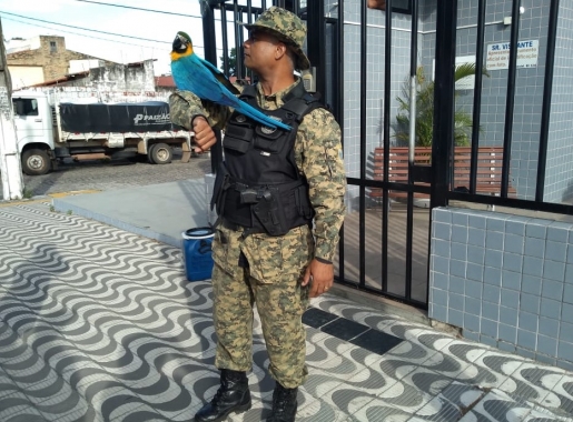 Resgate foi feito no domingo. Foto: Divulga&ccedil;&atilde;o