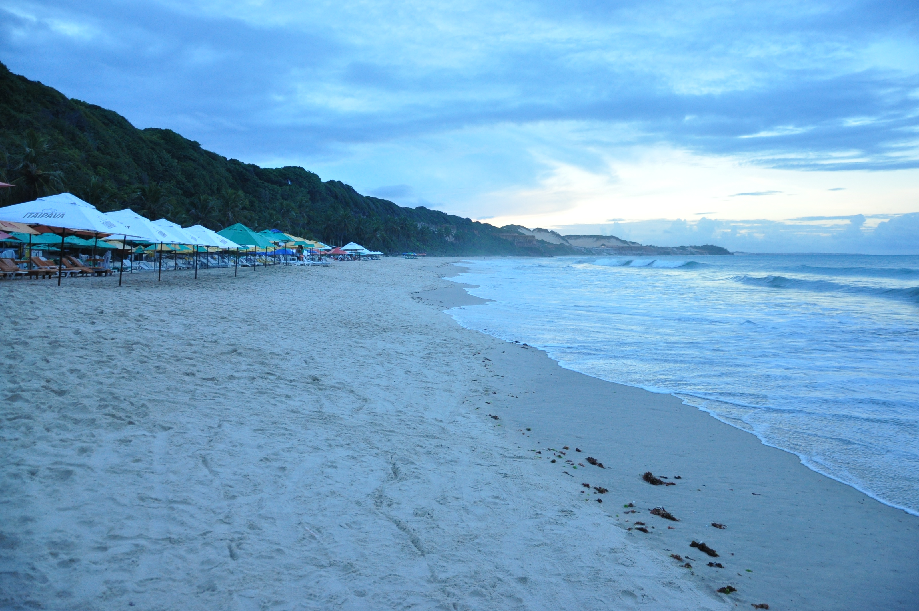 Fórum discute oportunidades de pesquisa no Parque Estadual Mata da Pipa - Agora RN