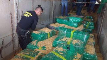 Polícia do Mato Grosso do Sul apreende 10,7 toneladas de maconha