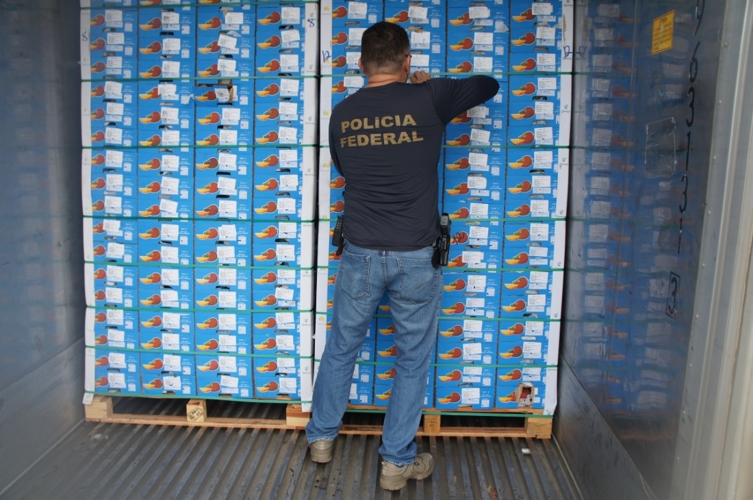 PF e Receita Federal apreendem 1 tonelada de cocaína no porto de Natal