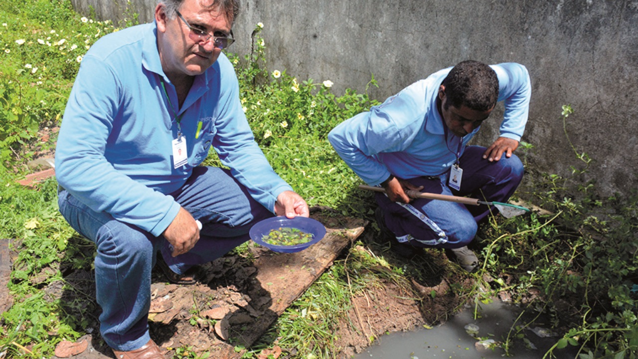 Casos de dengue, zika e chikungunya sobem 278% em PaRio Grande do Norteamirim em 2019 - Agora RN