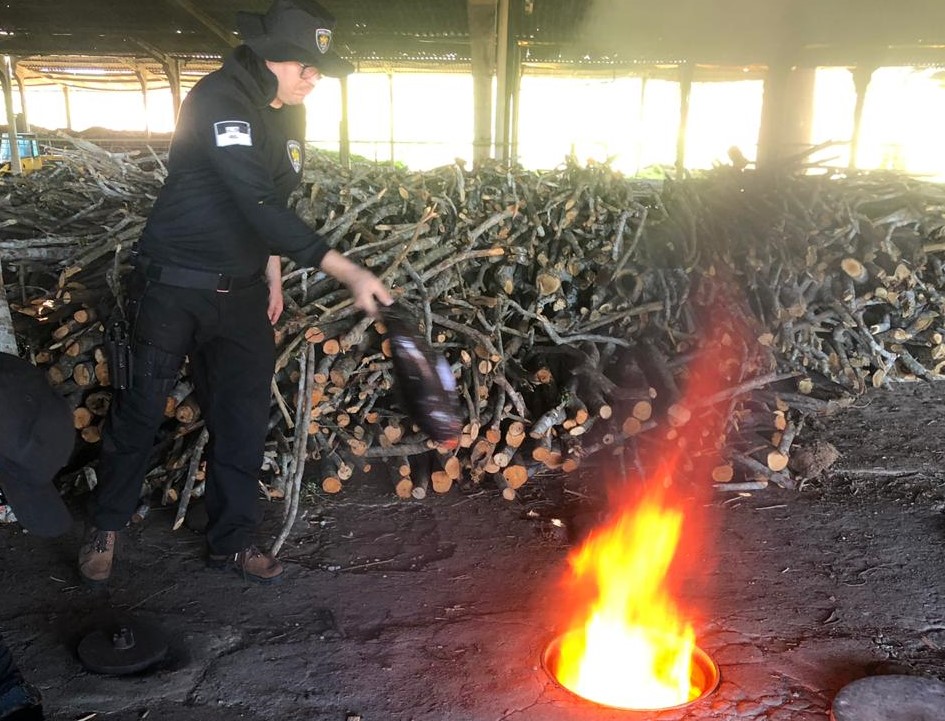 Polícia Civil incinera aproximadamente 850 quilos de drogas em Natal