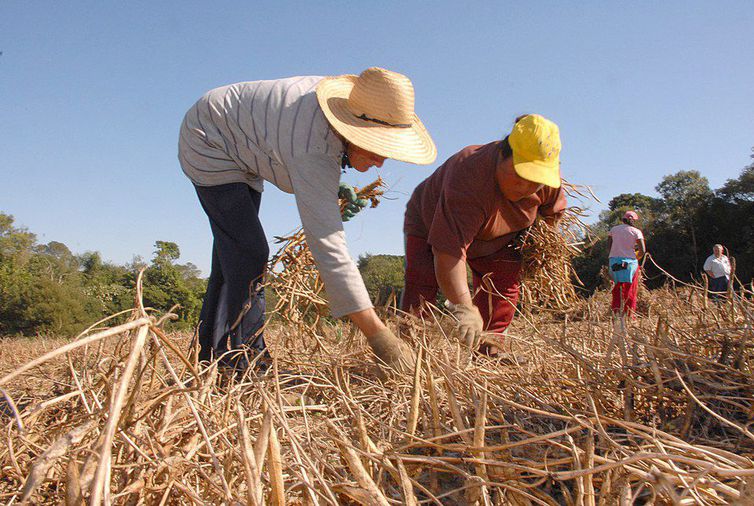 Em 60 cidades, circula mais dinheiro com aposentadoria rural do que com fpm | notícias do rio grande do norte Em 60 cidades, circula mais dinheiro com aposentadoria rural do que com FPM - Agora RN