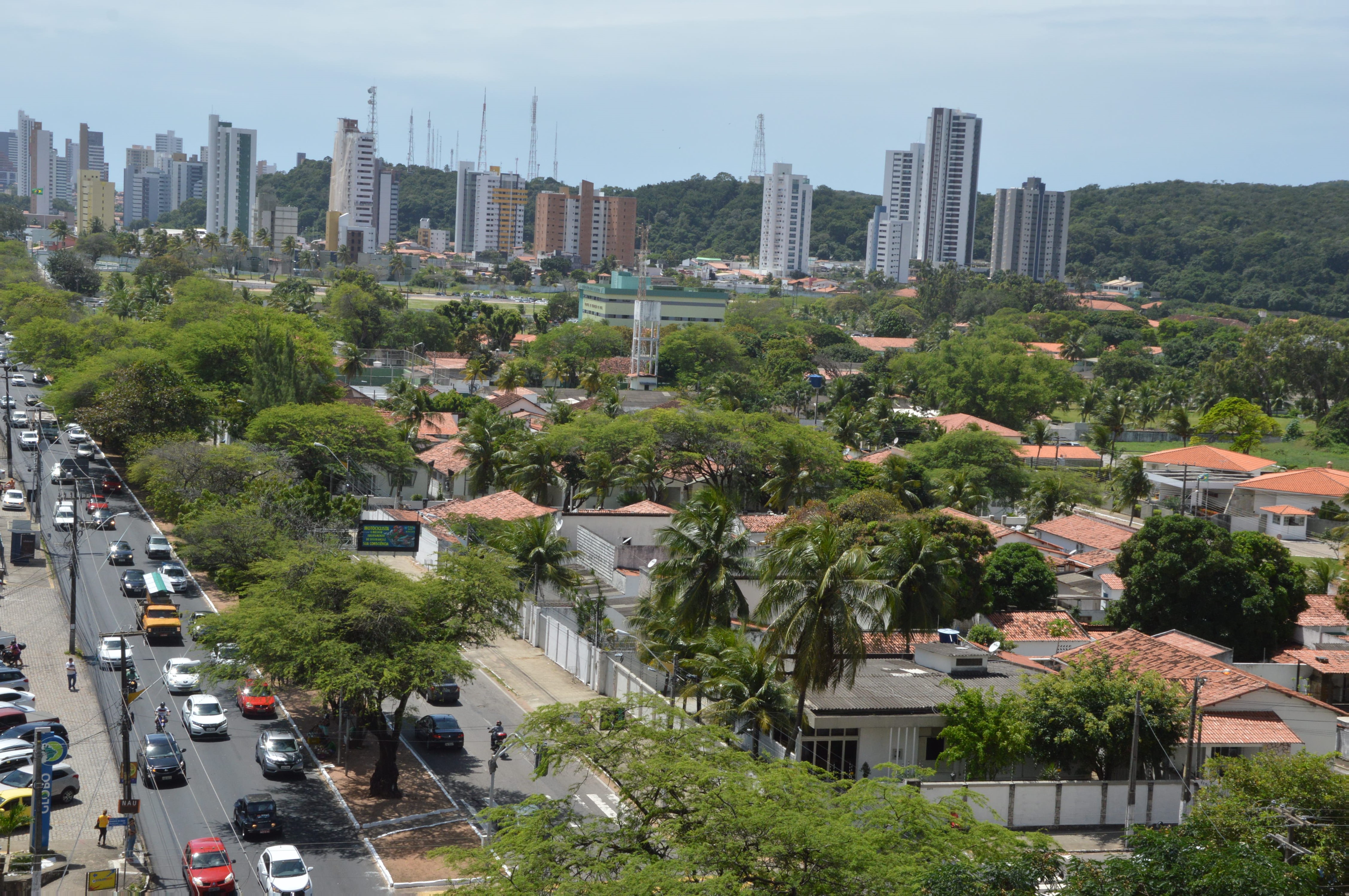 Vereadores de Natal aprovam projeto que prevê plantio obrigatório de árvores - Agora RN