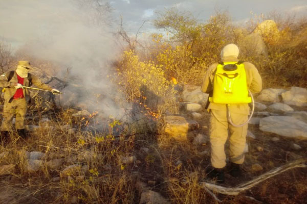 Bombeiros controlam incêndio florestal após três dias na Zona Rural em Assú