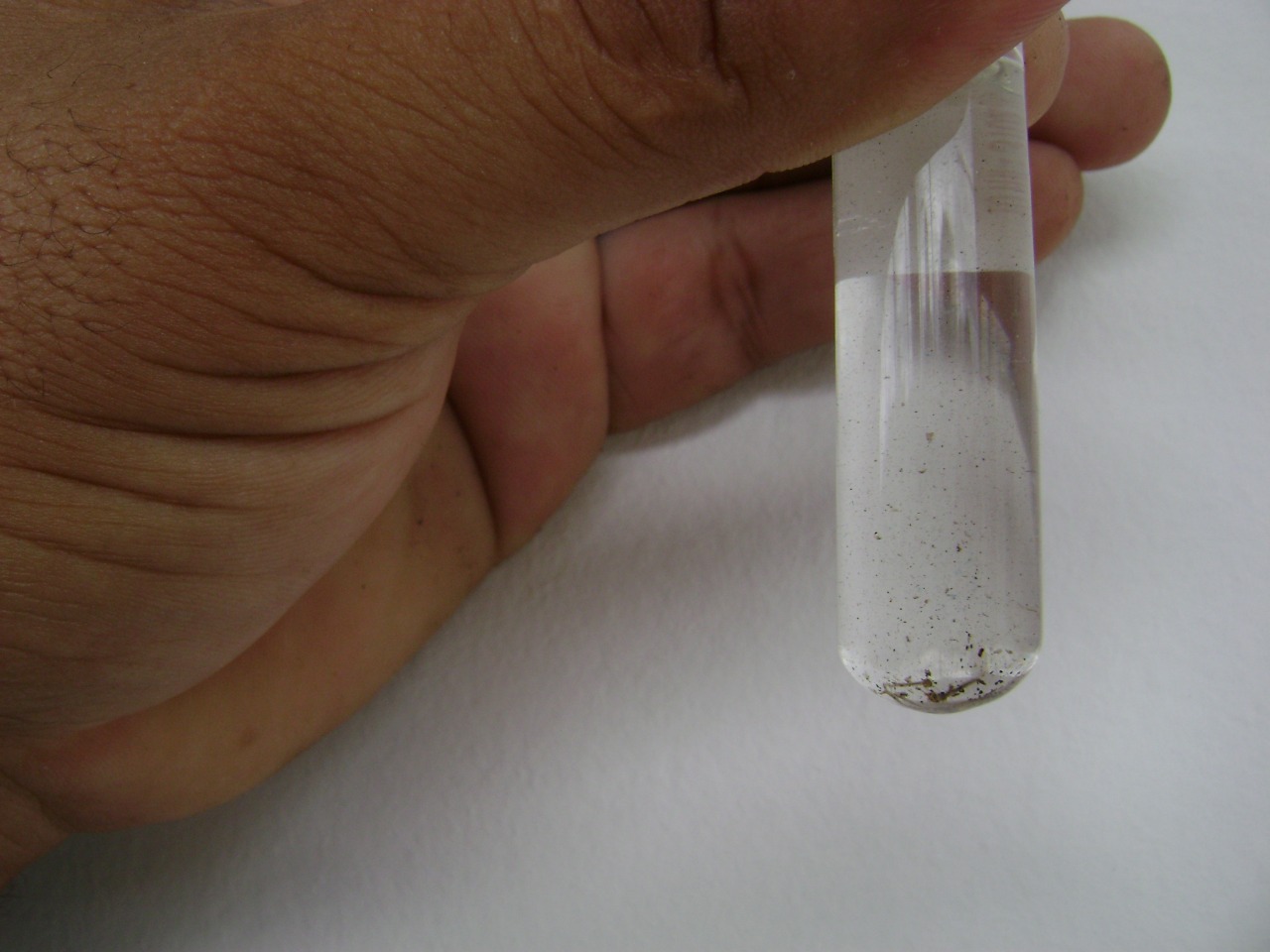 Centro de Zoonoses prepara novos projetos para combater arboviroses
