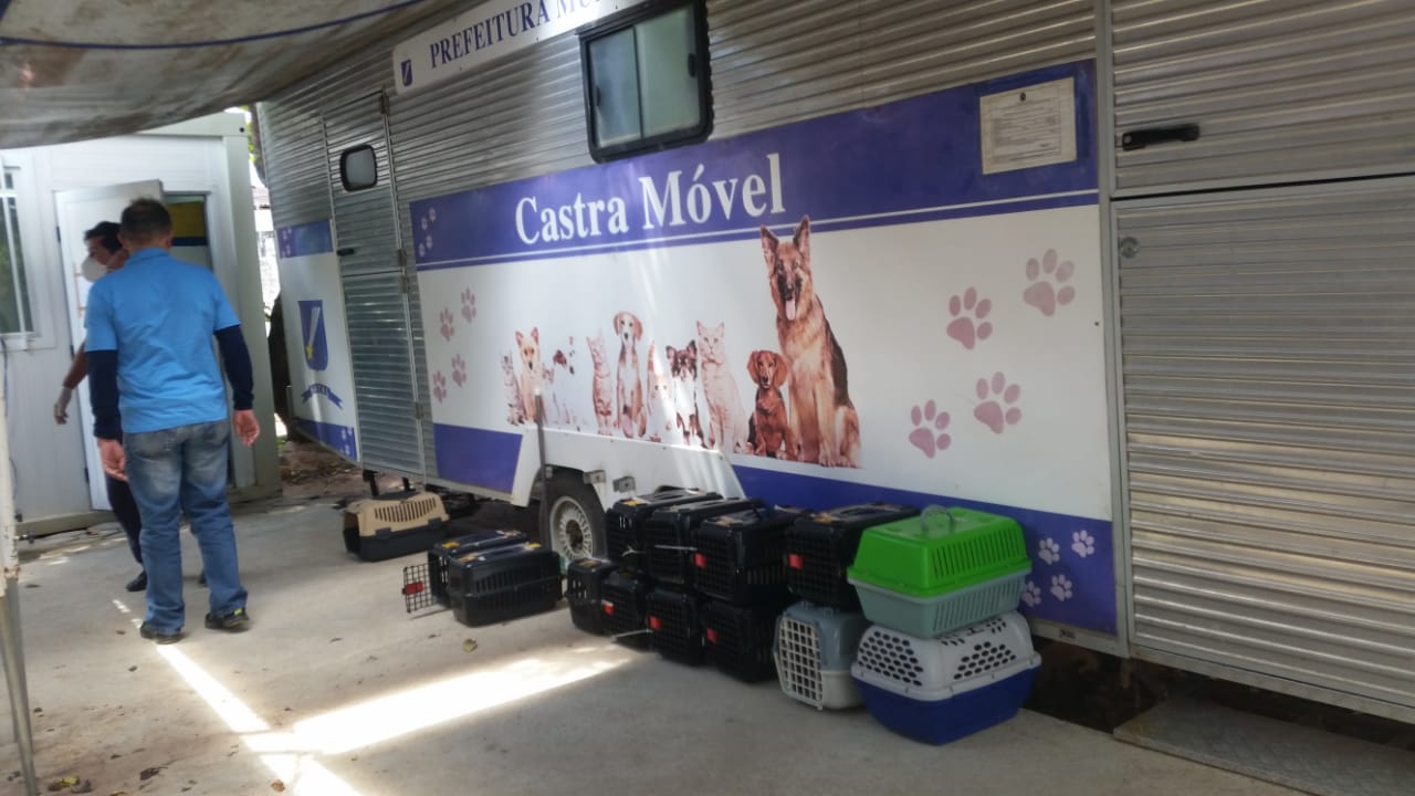 Secretaria municipal de saúde promove ação de castração animal | notícias do rio grande do norte Secretaria Municipal de Saúde promove ação de castração animal - Agora RN
