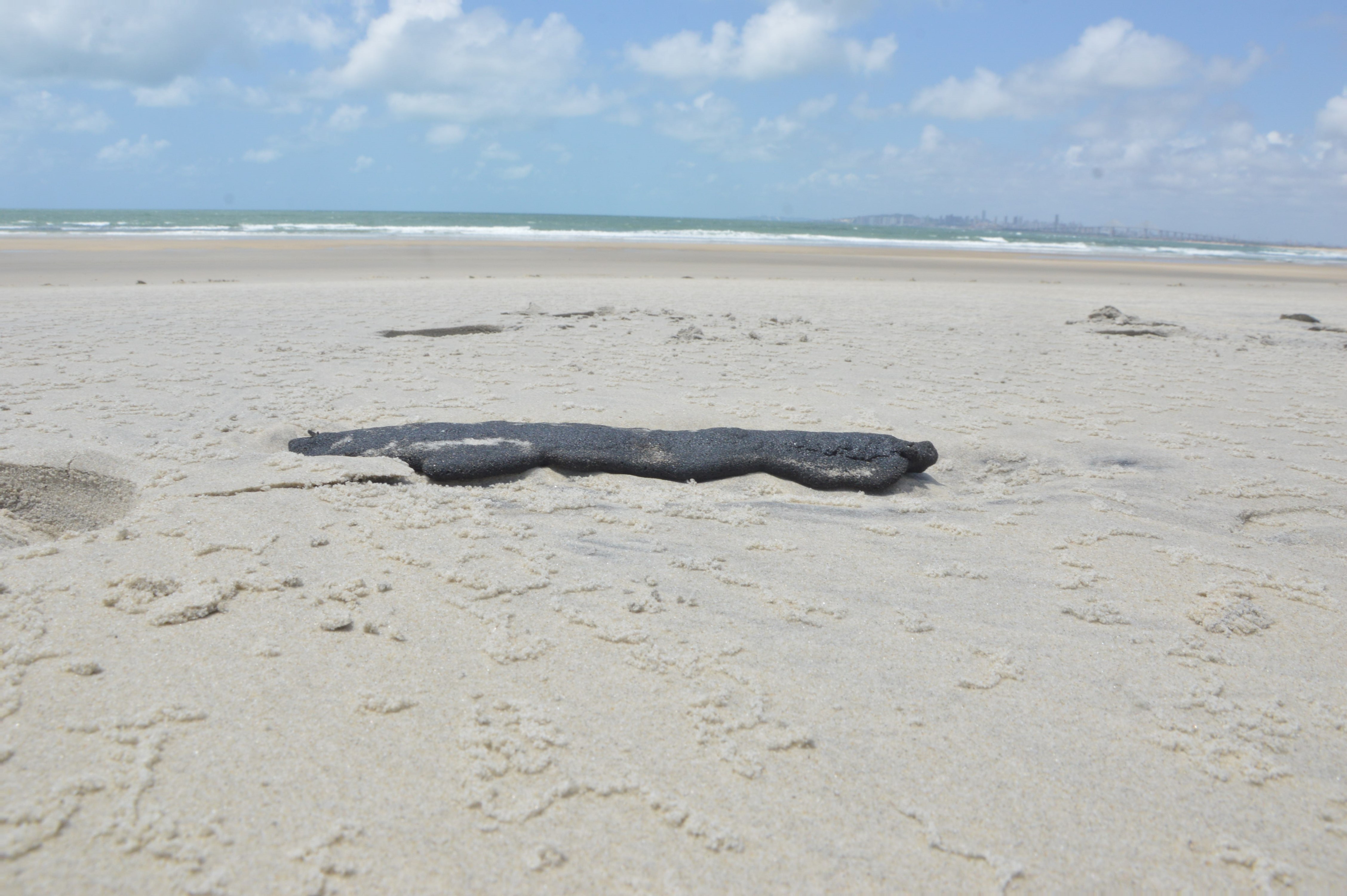 Novas manchas de óleo são encontradas no litoral Sul do Rio Grande do Norte - Agora RN