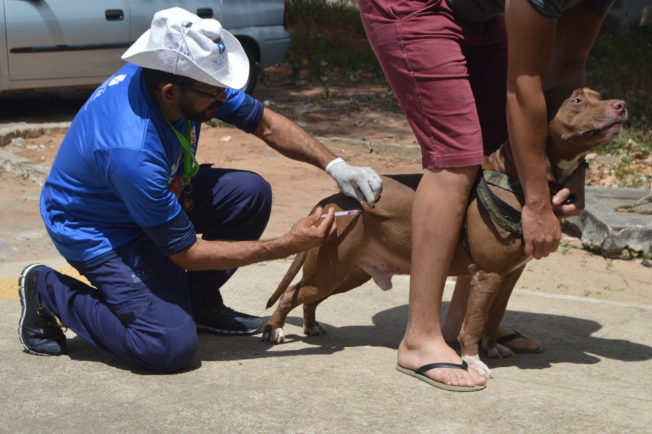 Município de Natal prorroga Campanha de Vacinação Antirrábica - Agora RN