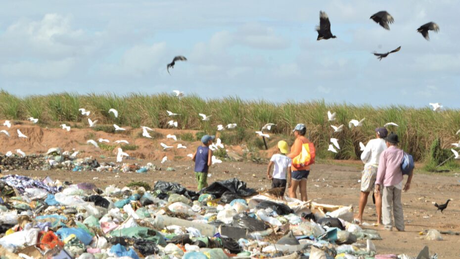 Desmatamento, invasões e lixões ameaçam o meio ambiente do RN - Agora RN