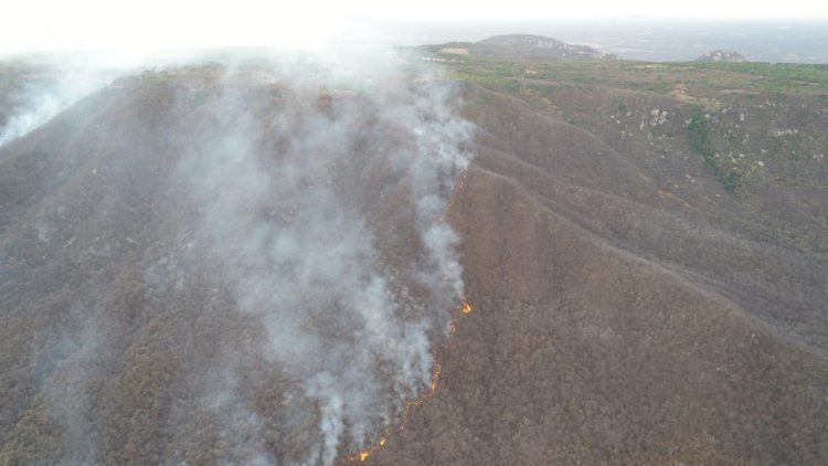 GoveRio Grande do Norteo decreta situação de emergência por incêndio em Portalegre e Viçosa - Agora RN