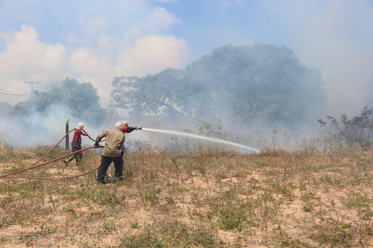 Em Natal, incêndio destrói vegetação às margens do prolongamento da Prudente - Agora RN