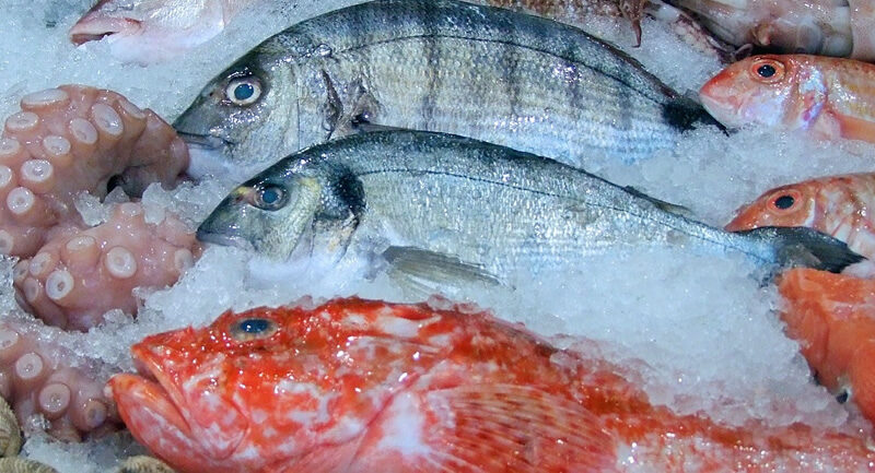 Amostras de peixe apresentam níveis de contaminação por óleo - Agora RN