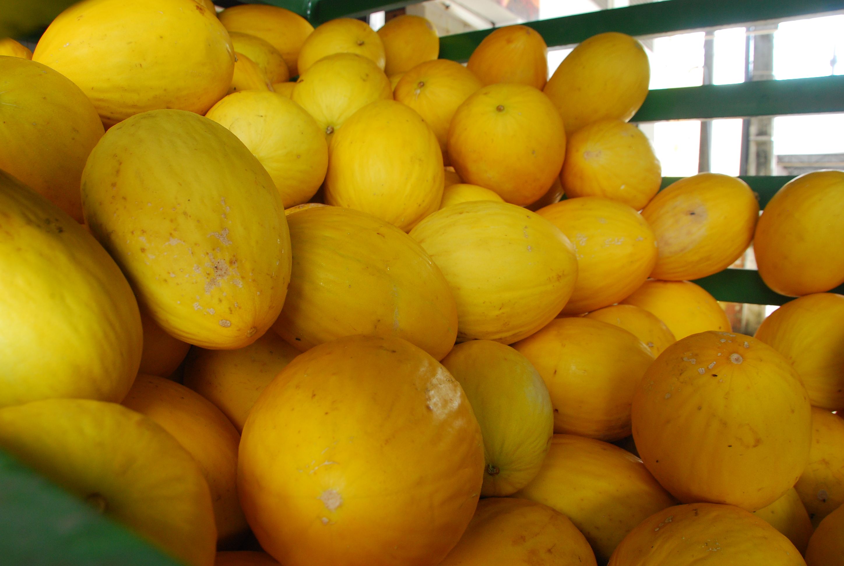 Exportações potiguares caem 19,6% em 2020, aponta FieRio Grande do Norte - Agora RN