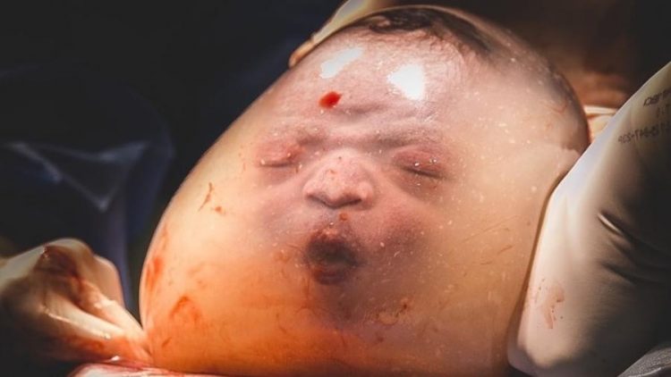Resultado de imagem para janaina brasil nascimento