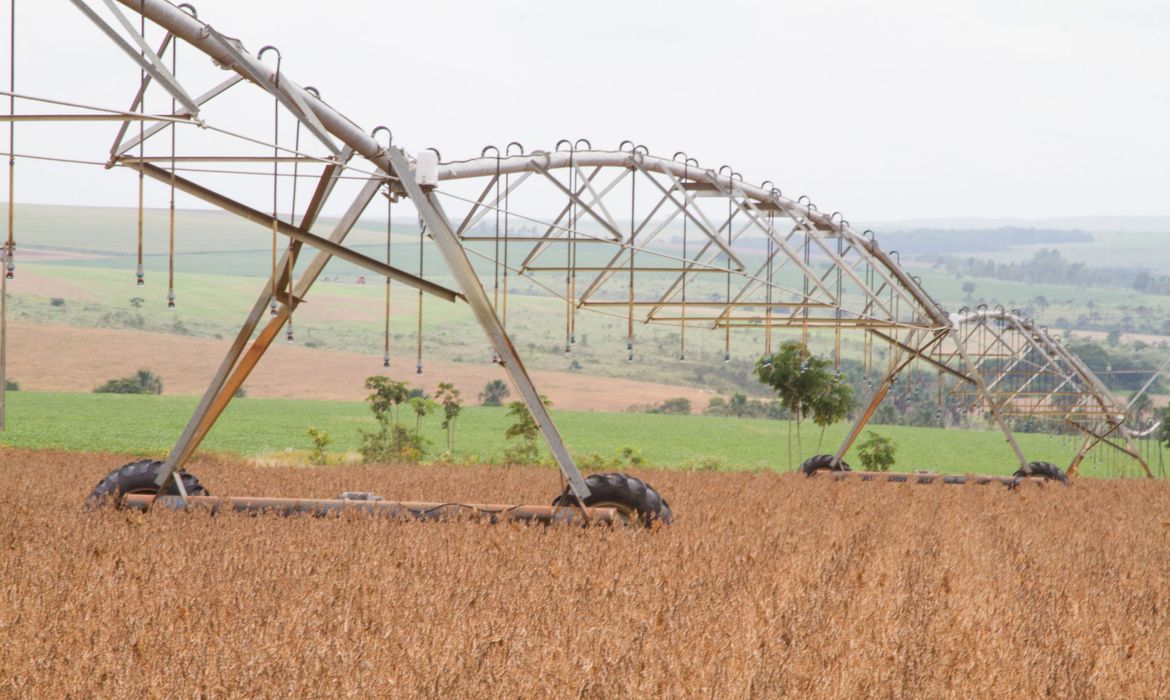 Safra 2023 alcançará recorde de 305,4 milhões de toneladas, diz IBGE; alta é de 16,1% ante 2022 - Agora RN