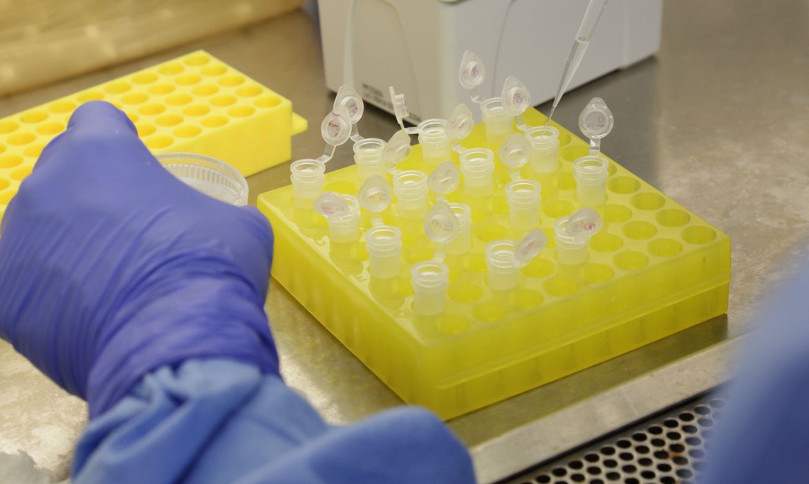 Cientistas uruguaios desenvolvem kit de diagnóstico para coronavírus