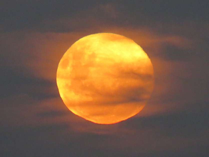 Perdeu a "superlua rosa"? Veja fotos do fenômeno pelo Brasil - Agora RN