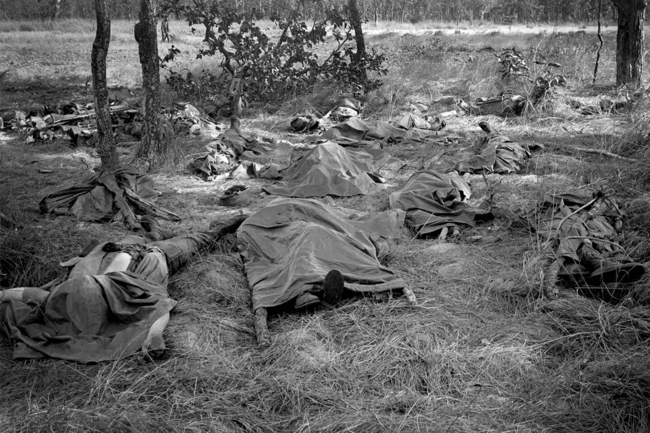 Qual o tamanho da pandemia do novo coronavírus? - Agora RN