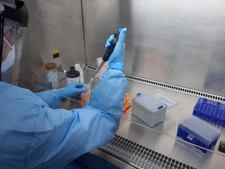 "Número de infectados deve ser sete vezes maior", diz pesquisa - Agora RN