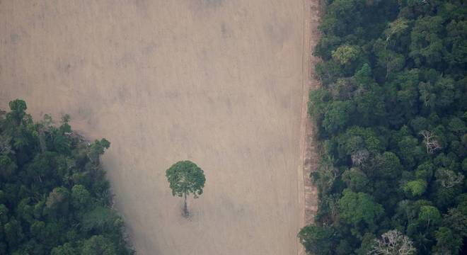 Desmatamento na Amazônia aumenta 64%, segundo Inpe - Agora RN