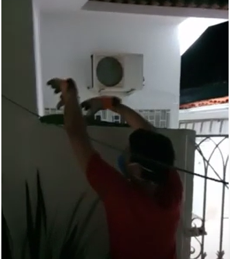 Corpo de Bombeiros resgata iguana em casa na Zona Sul de Natal; VEJA VÍDEO - Agora RN
