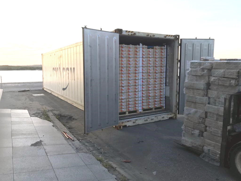 Após PF apreender 700 Kg de cocaína, CodeRio Grande do Norte anuncia scanner no porto para setembro - Agora RN