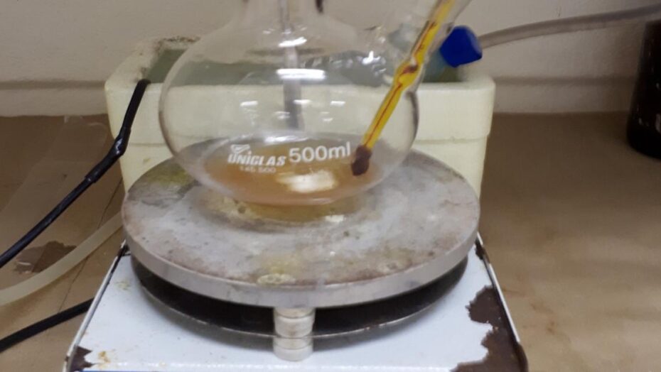 Na UFRN, tangerina dá como fruto um processo inovador na obtenção de biocombustível - Agora RN