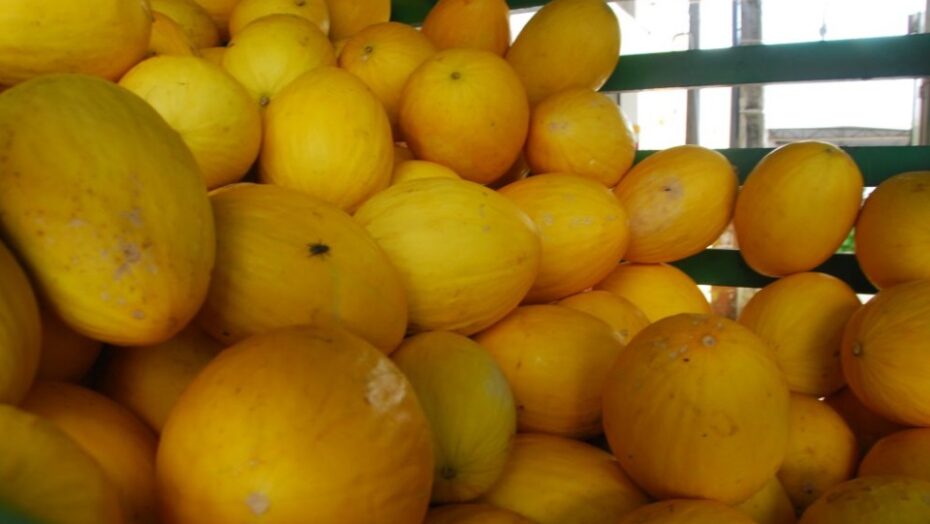 Exportações do RN reagem em agosto, mas valor alcançado ainda é menor que em 2019, aponta FieRio Grande do Norte - Agora RN