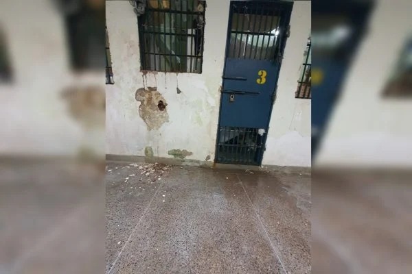 Rascunho automático