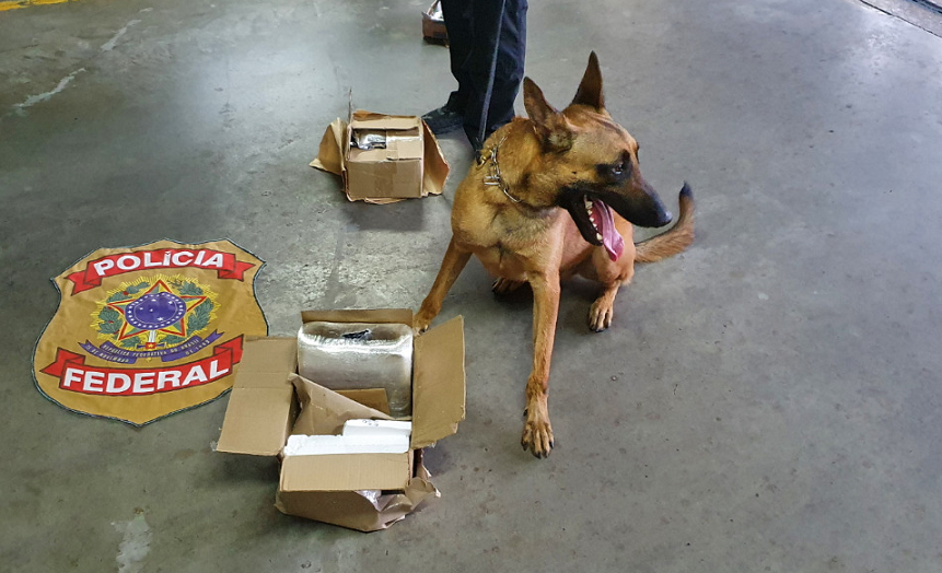 Com ajuda de cão farejador, pf apreende 5 kg de cocaína enviados pelos correios do acre para o Rio Grande do Norte