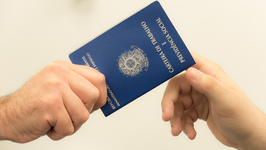 Candidatos a prefeito de Natal RN dizem o que vão fazer para gerar empregos