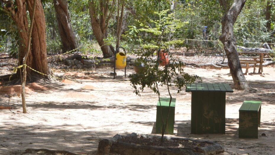 Parque das dunas proíbe entrada de alimentos para proteger animais da covid-19