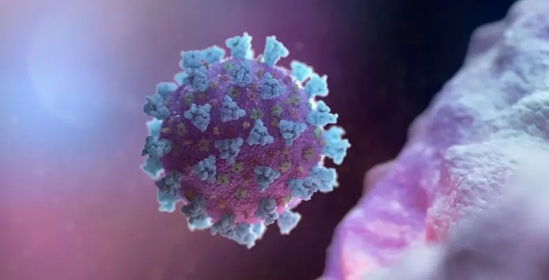 Origem animal do novo coronavírus é ‘muito provável’, diz relatório da oms