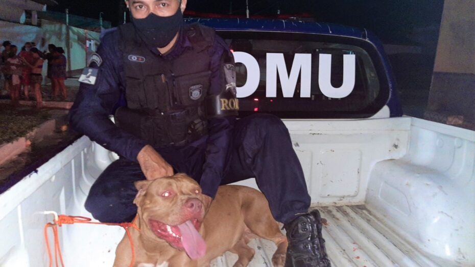 Guarda municipal salva criança do ataque de dois pitbull na zona norte de Natal RN