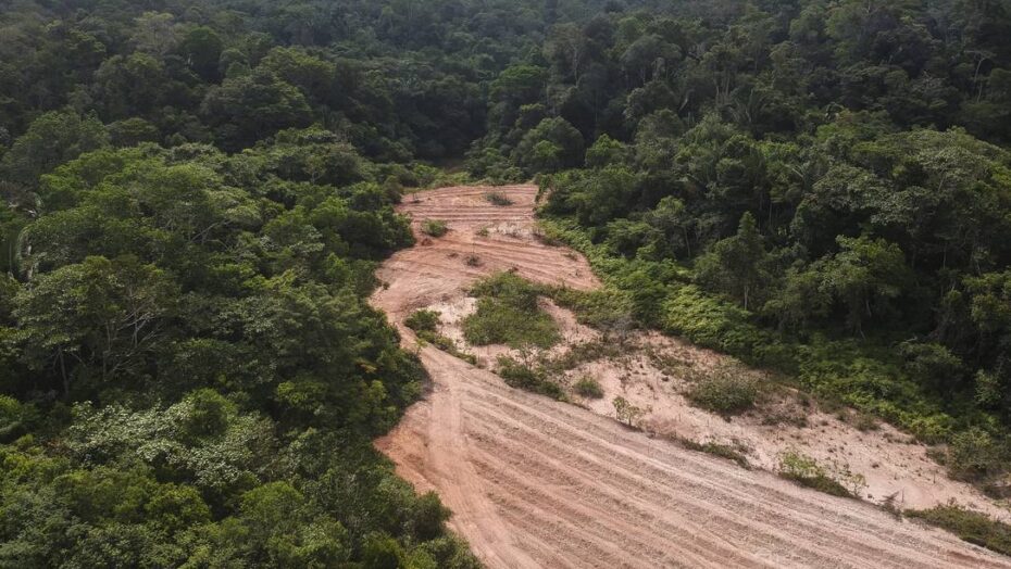 Desmatamento recorde: amazônia tem piores números para o mês de maio da série histórica, aponta inpe