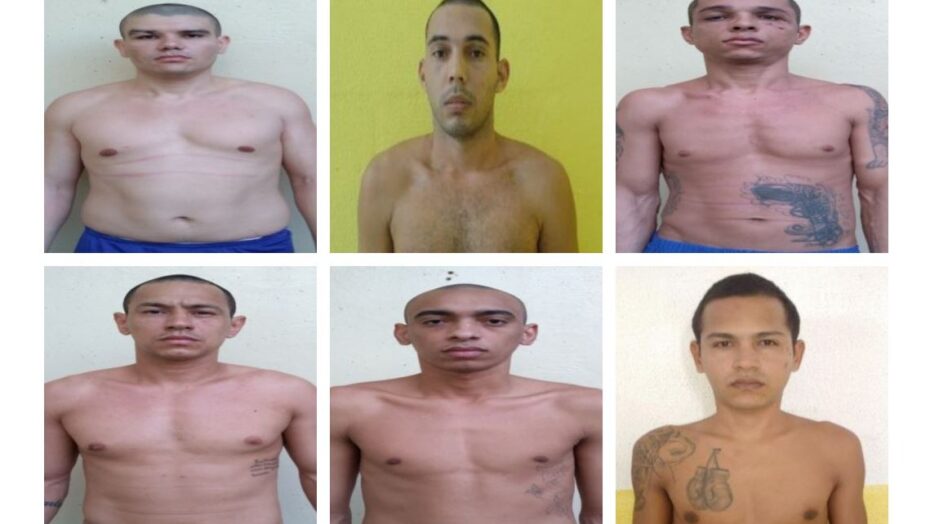 fugitivos