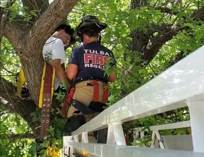 Bombeiros resgatam homem que subiu em árvore para resgatar gato