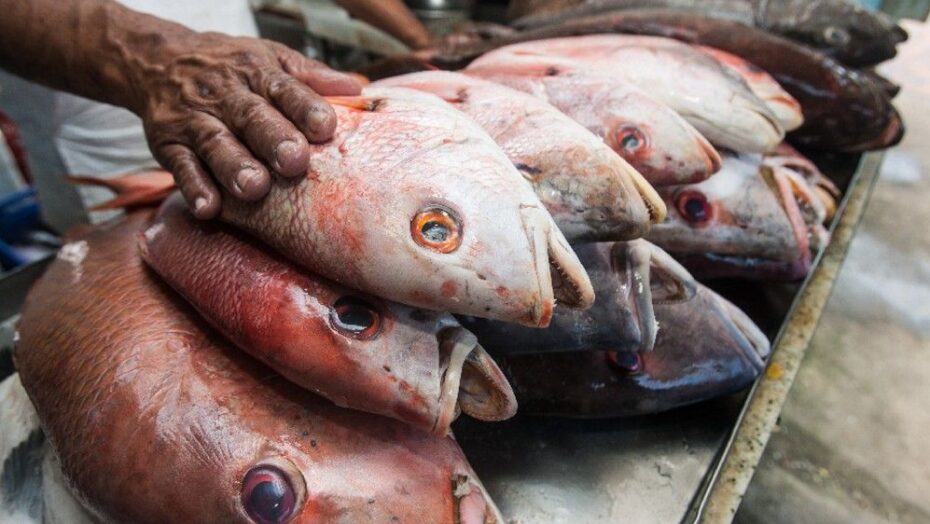 Pescado