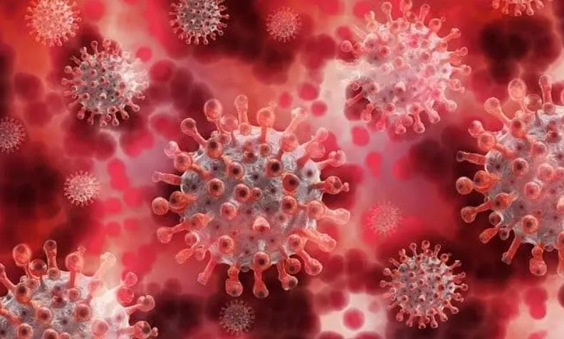 coronavirus