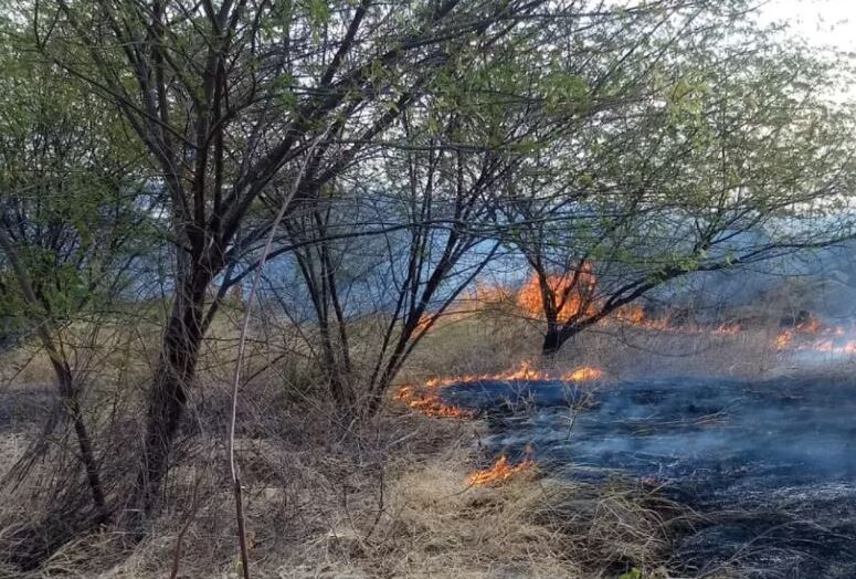 Incêndio atinge bacia do açude itans, em caicó; 60% da vegetação local foi queimada