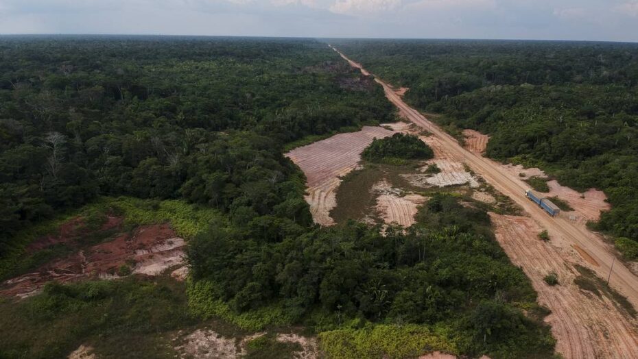 Floresta amazônica vale mais em pé do que derrubada, dizem executivos do santander, bradesco e itaú