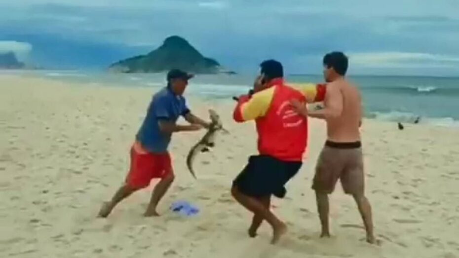 Em briga na praia, homem ameaça outro com um jacaré; vÍdeo