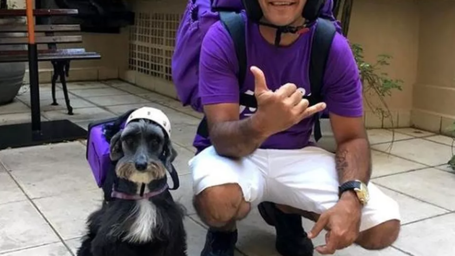 Conheça ruby fofa, cadela que virou entregadora após ser resgatada da rua por motoboy