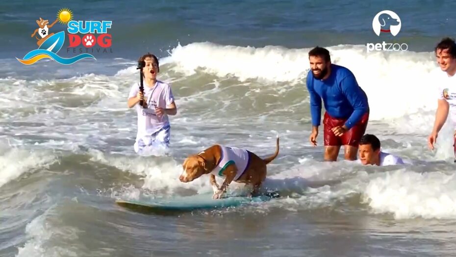 Com participação de campeões mundiais, natal recebe o surf dog festival neste sábado (27)
