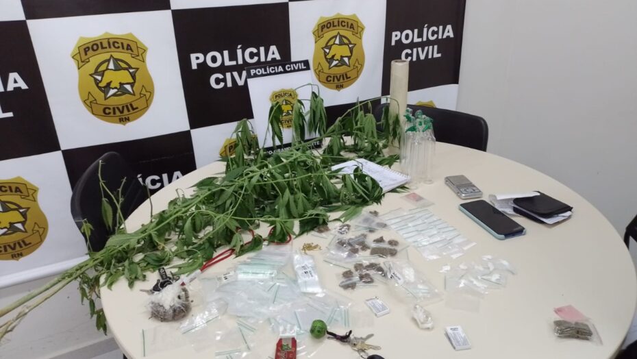 Rascunho automático