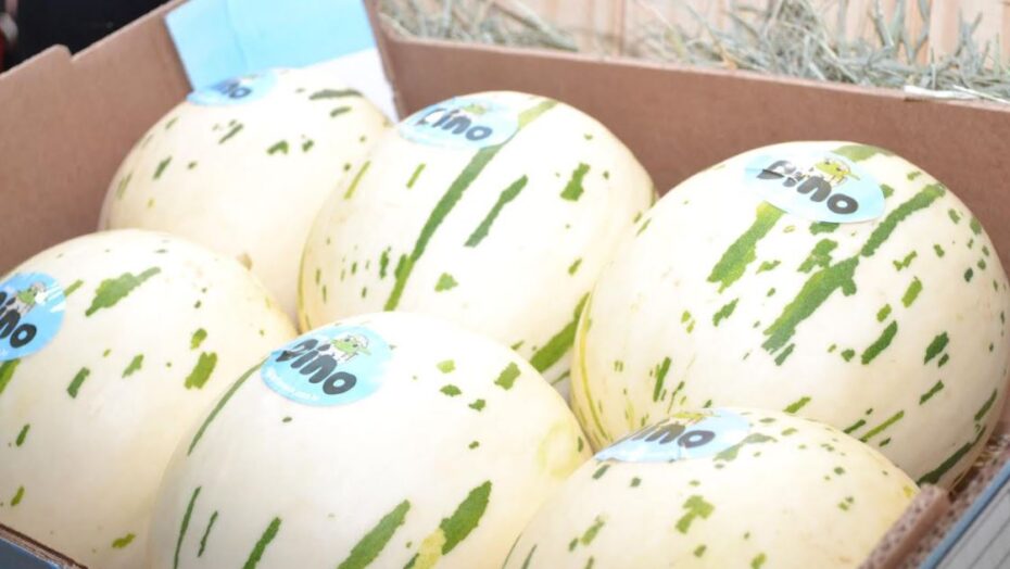 Expofruit acontece de 24 a 26 de novembro em mossoró, no Rio Grande do Norte