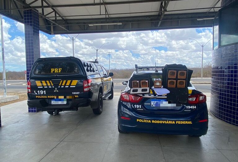 Prf resgata 6 aves silvestres e prende homem por crime ambiental em mossoró