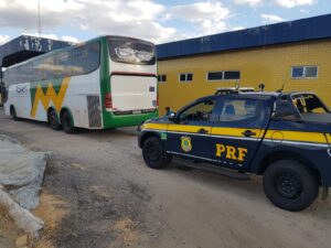 Idoso que transportava 272 aves silvestres ilegalmente de Goiás para o RN é detido pela PRF