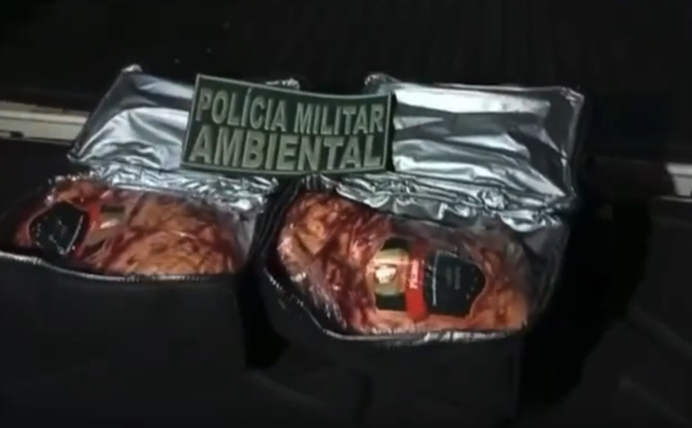 Jovem é preso após furtar picanha em supermercado de natal para fazer churrasco | notícias do rio grande do norte Jovem é preso após furtar picanha em supermercado de Natal RN para fazer churrasco